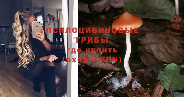 винт Алексин