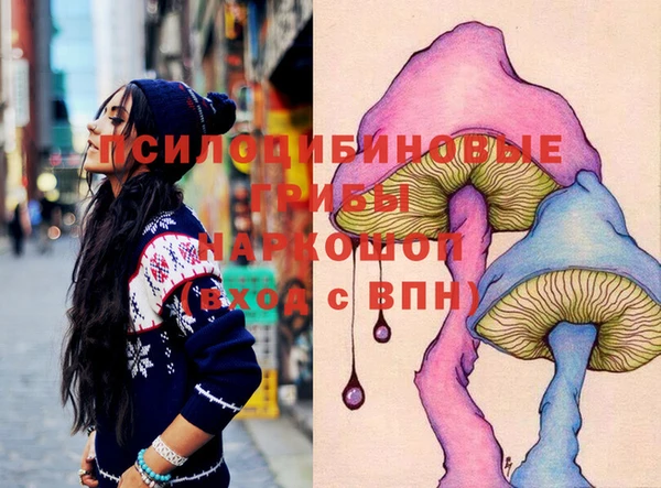 дурь Алзамай