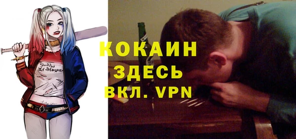 винт Алексин